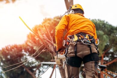 TREE REMOVAL & TRIMMING